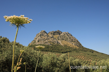 Pico Bermejo, Priego de Córdoba.